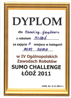 Dyplom 10