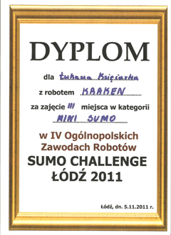 Dyplom 19